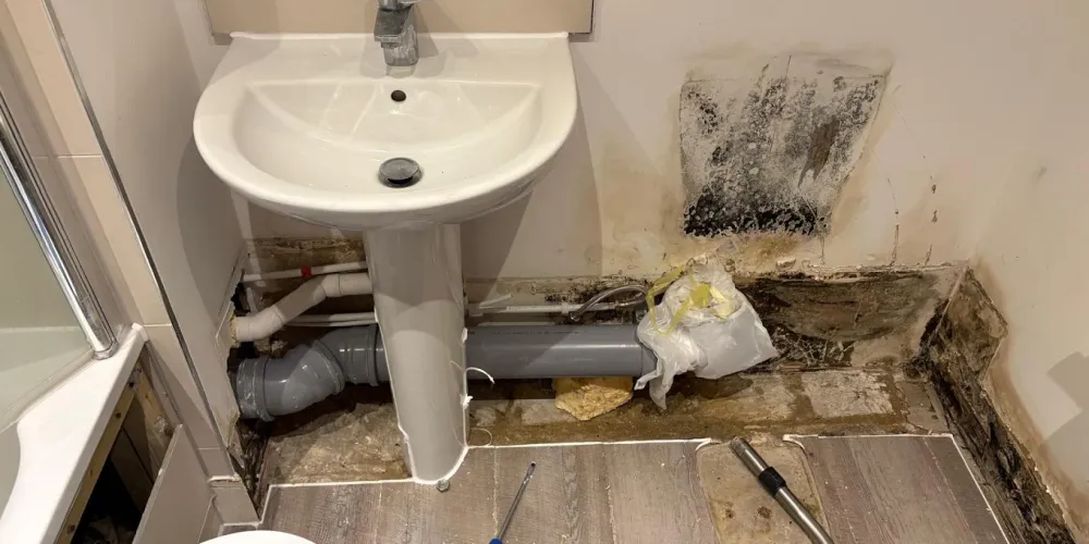 Kitchen Plumbing